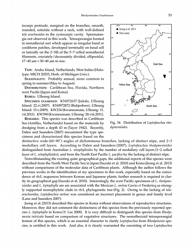 53페이지