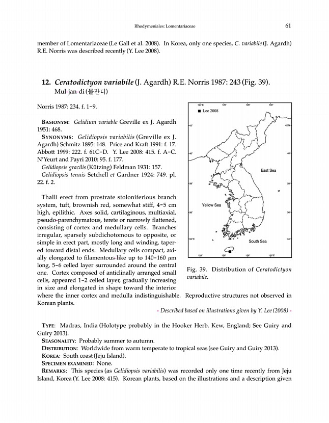 61페이지