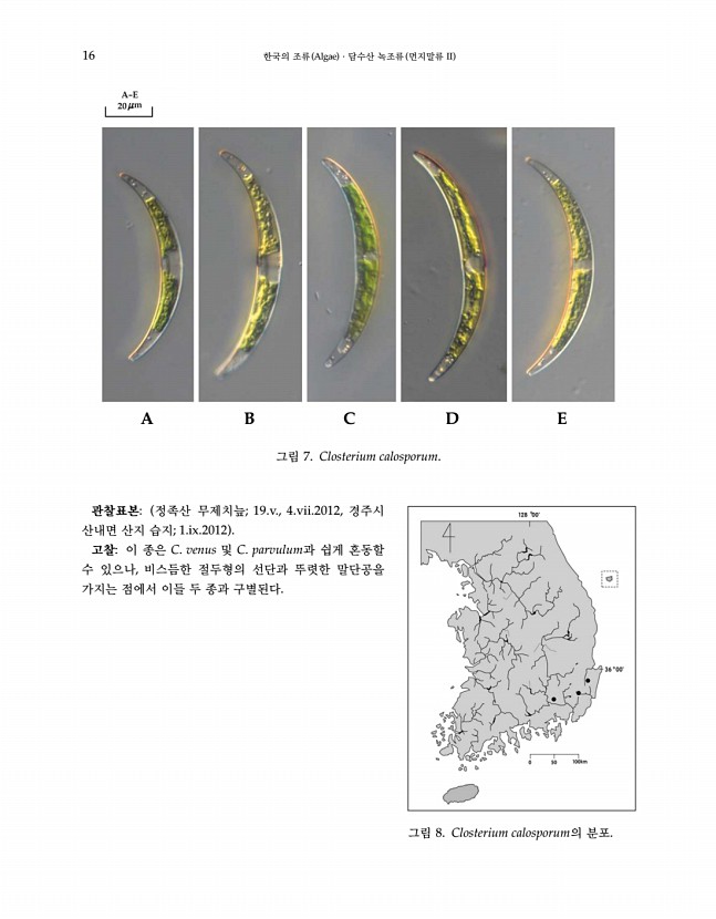 16페이지