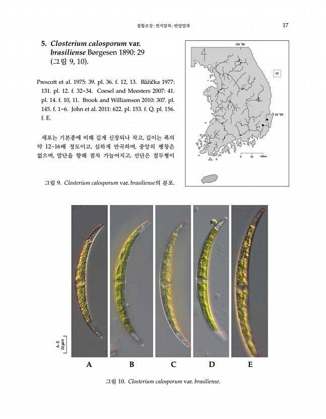 17페이지