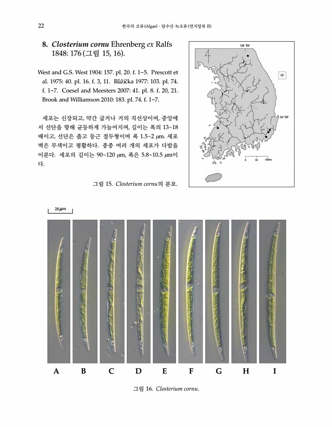 22페이지