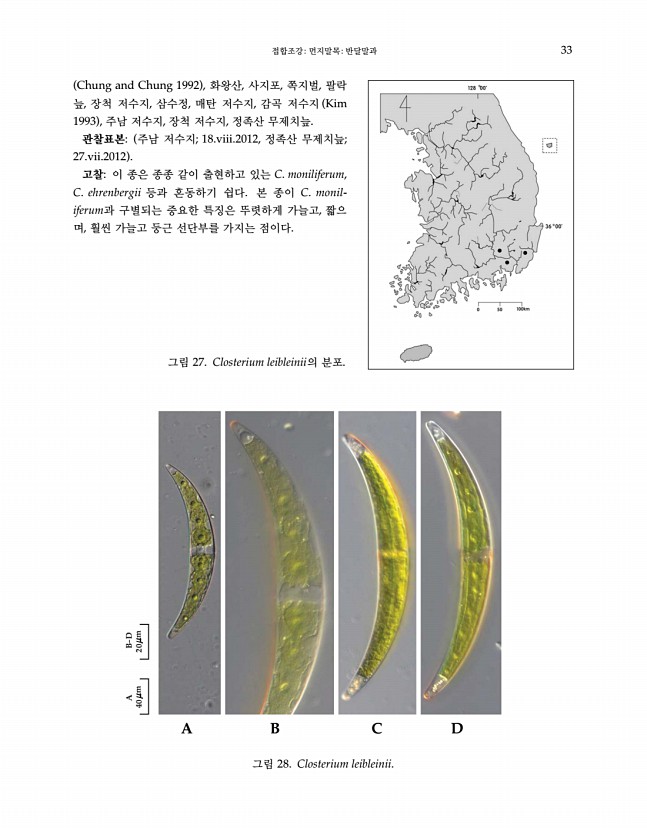 33페이지