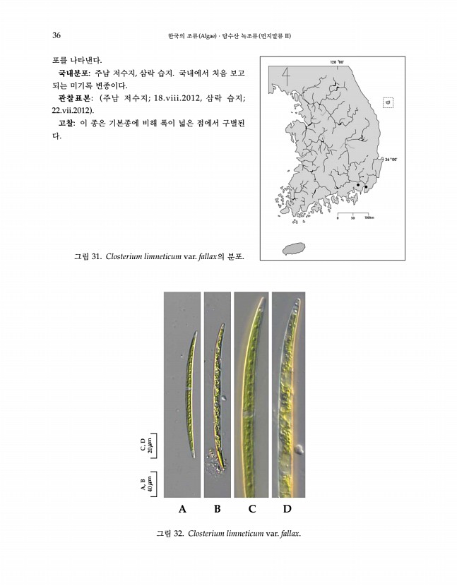 36페이지