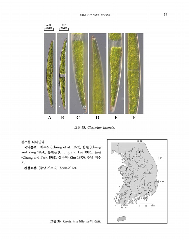 39페이지