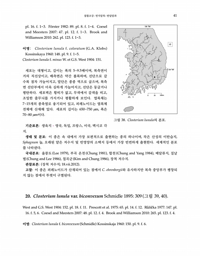 41페이지