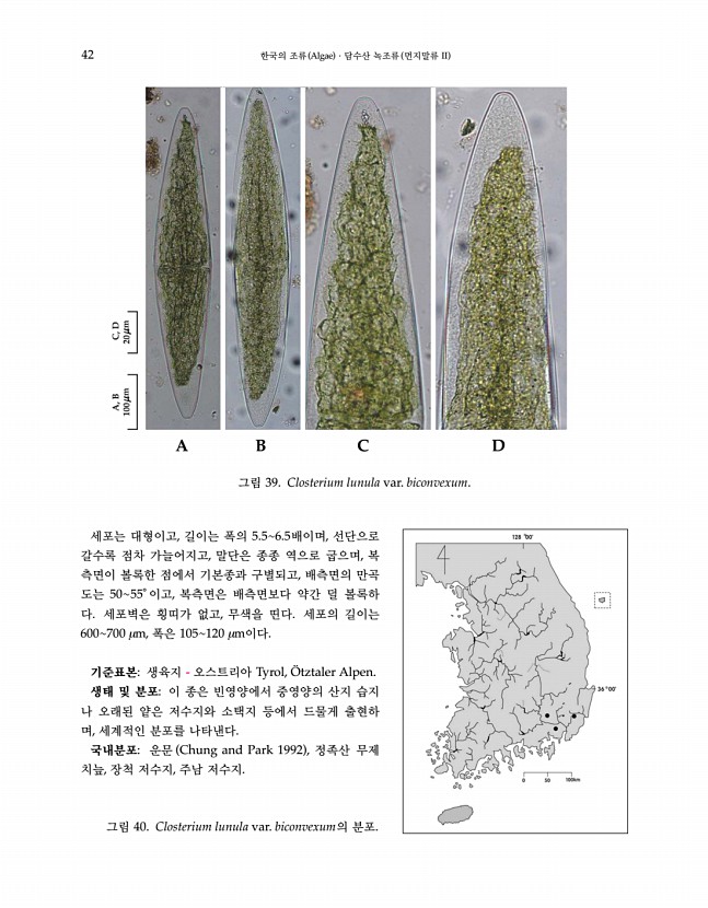 42페이지