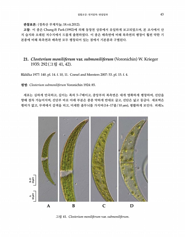 43페이지