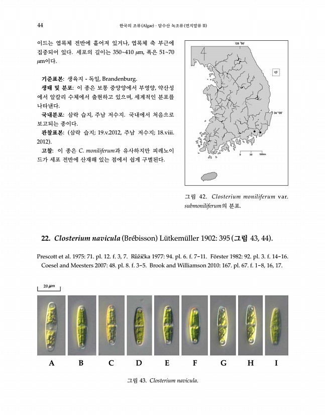 44페이지