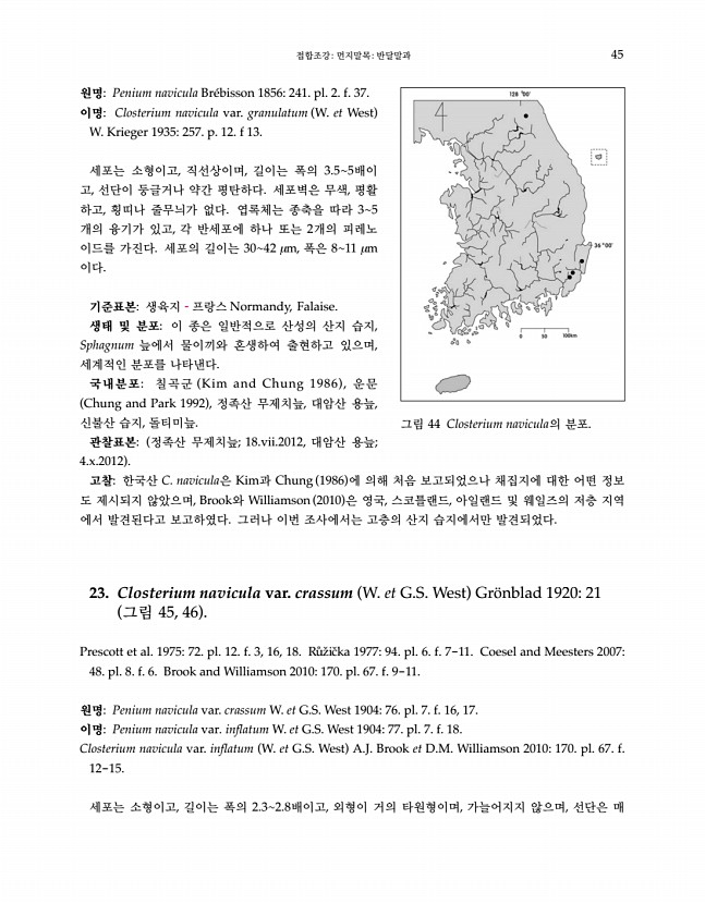 45페이지