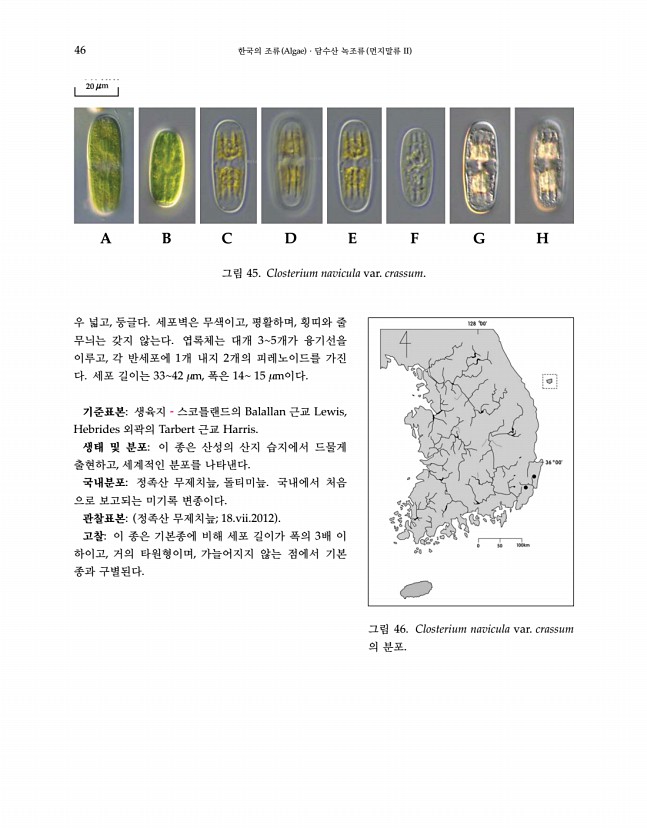 46페이지