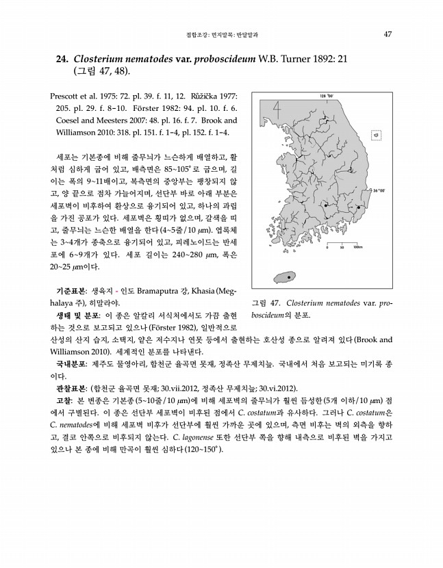 47페이지