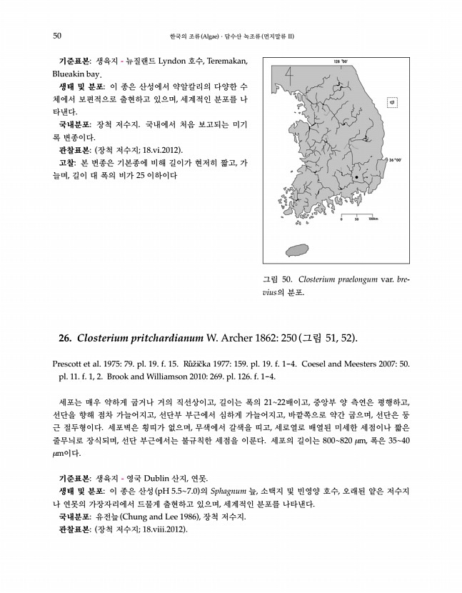 50페이지