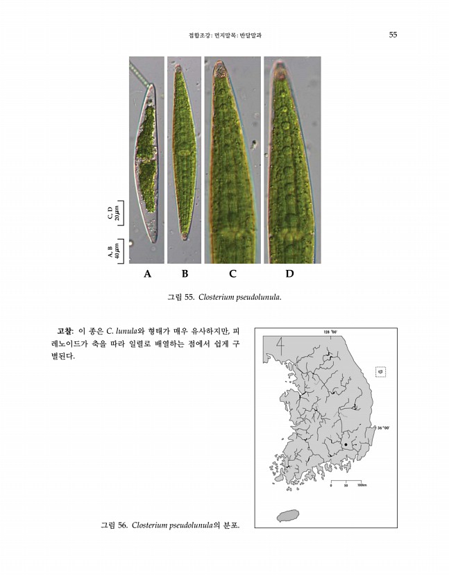 55페이지