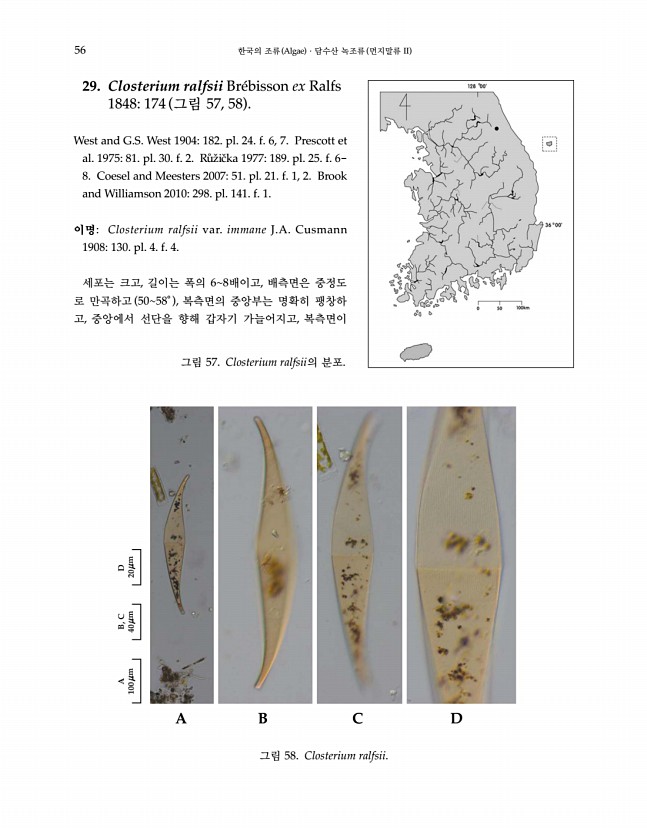 56페이지