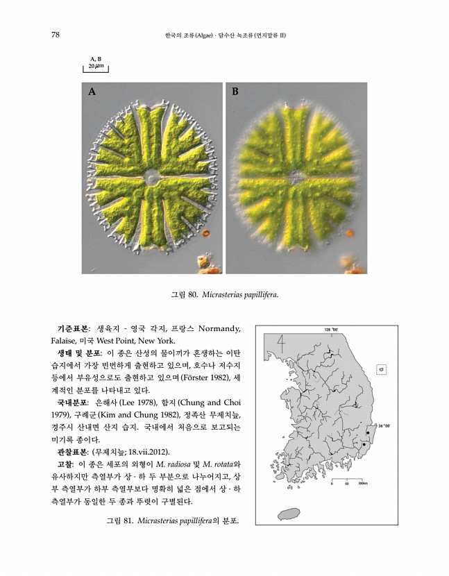 78페이지