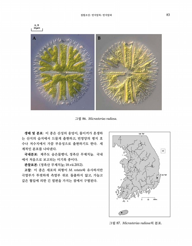 83페이지