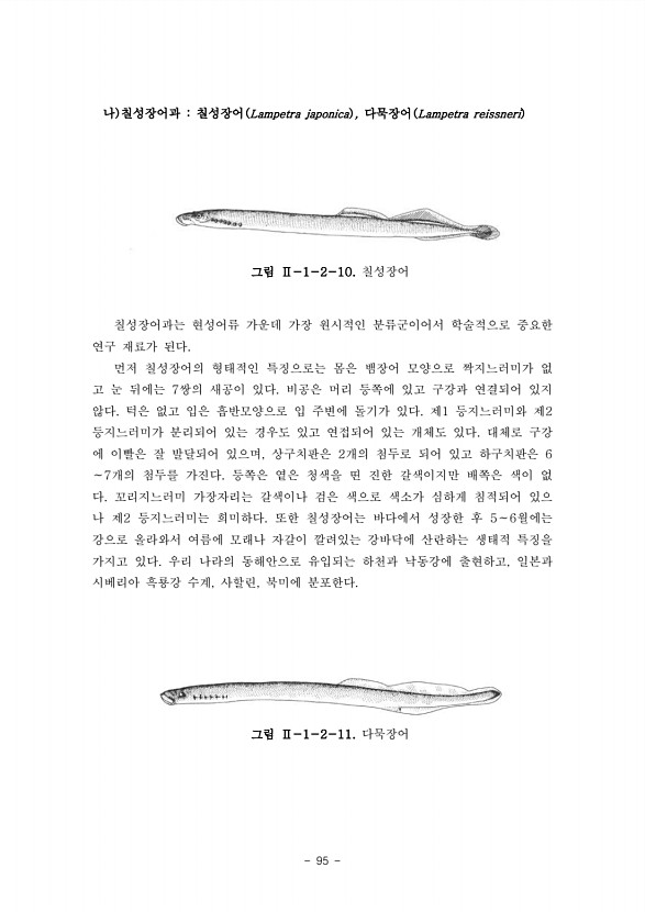 95페이지