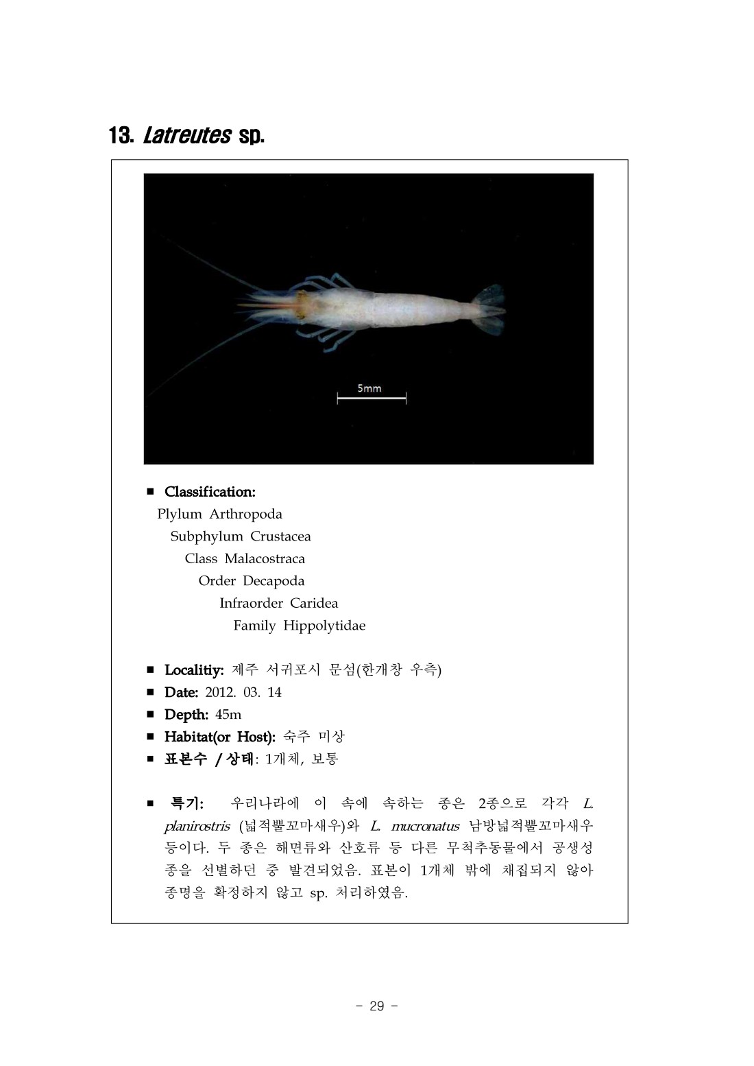 페이지