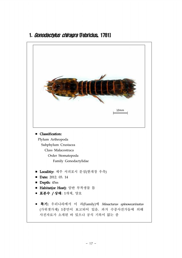 11페이지