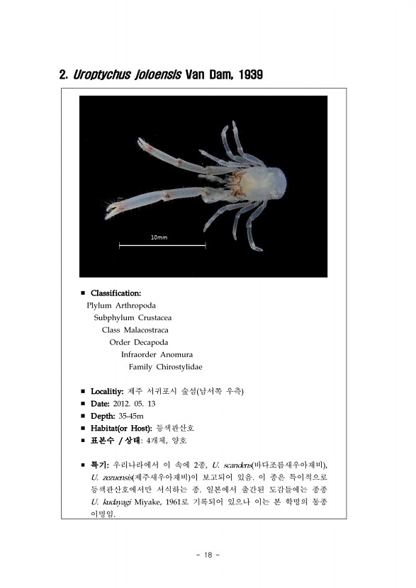 12페이지