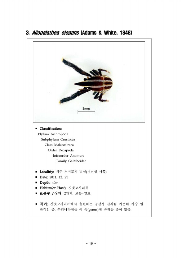 13페이지