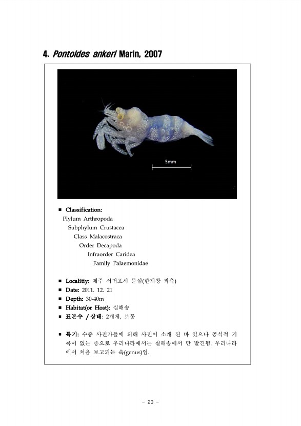 14페이지