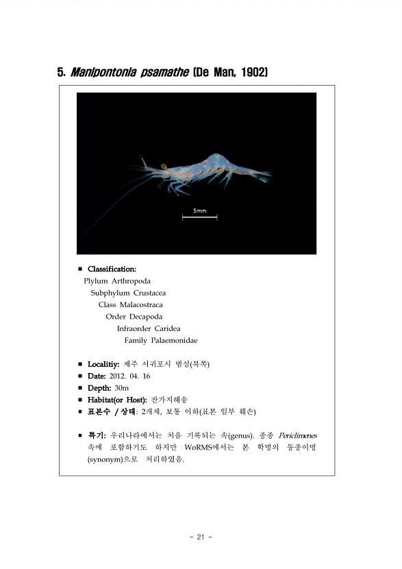 15페이지