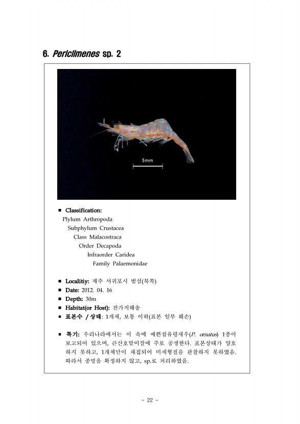 16페이지