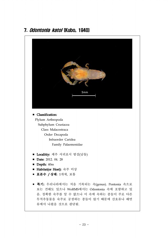 17페이지
