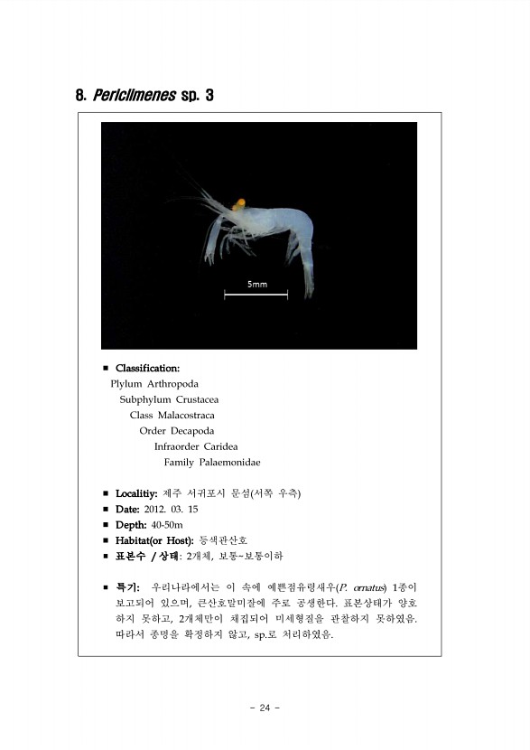 18페이지