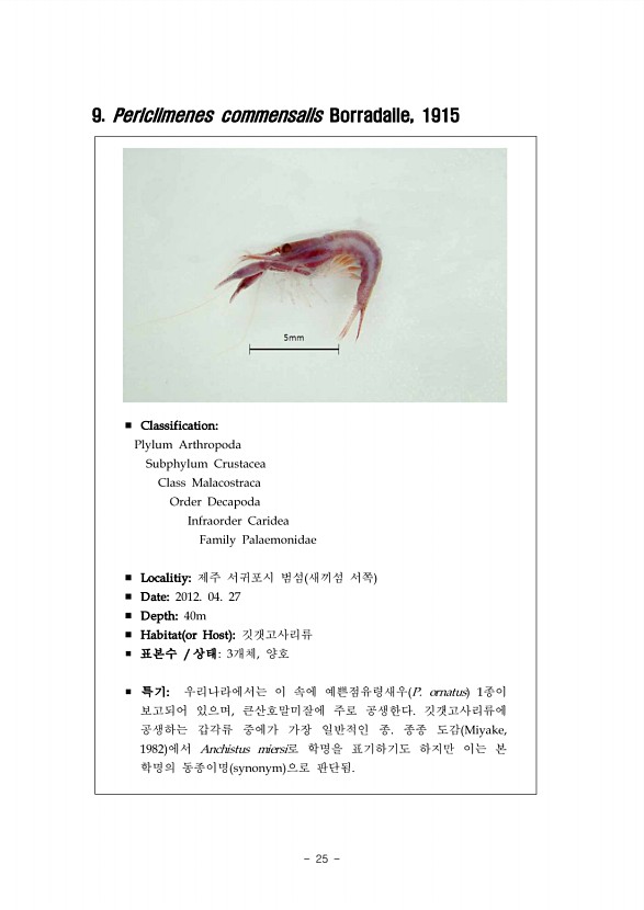 19페이지