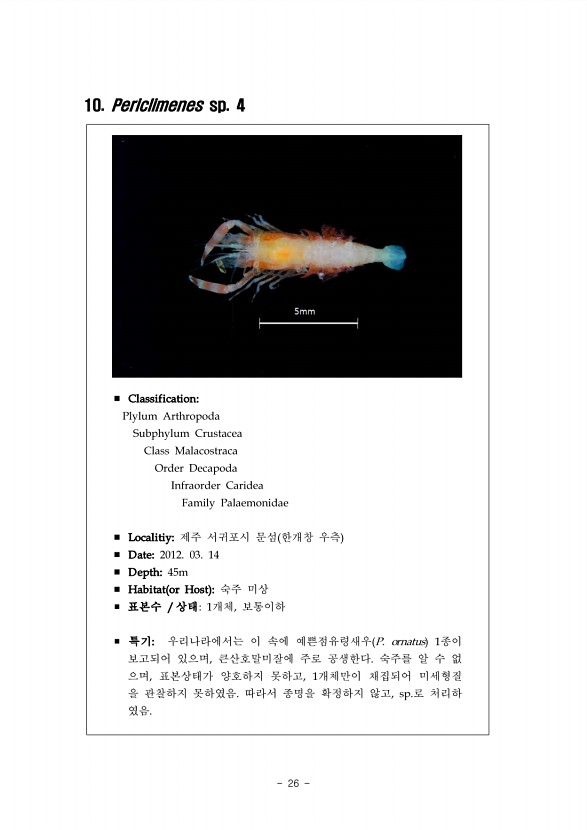 20페이지