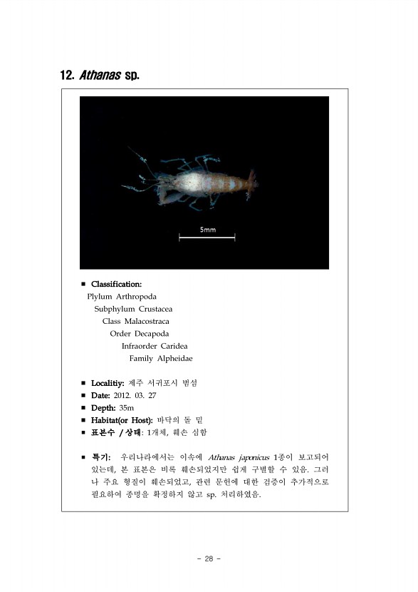 22페이지