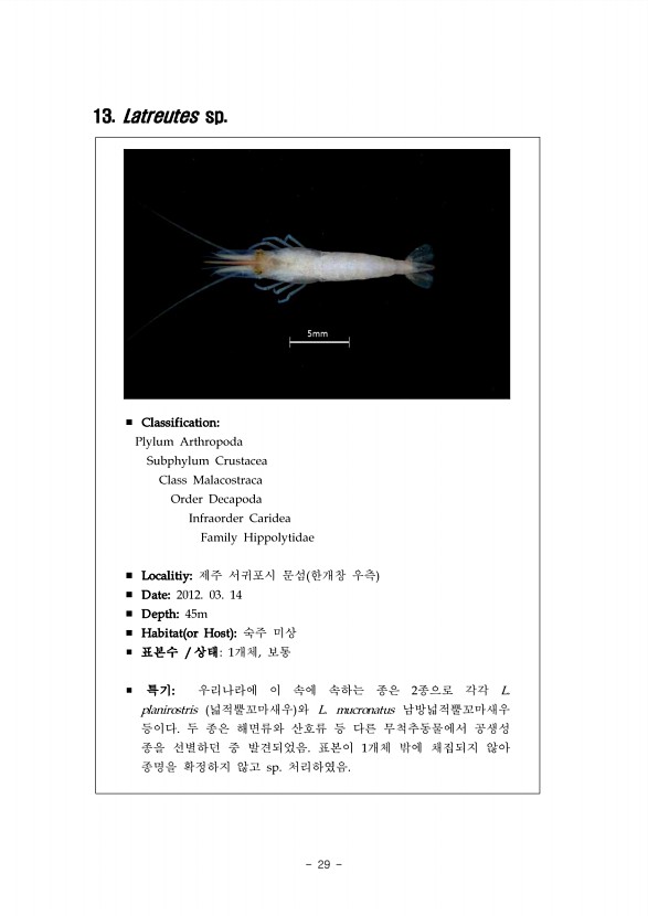 23페이지