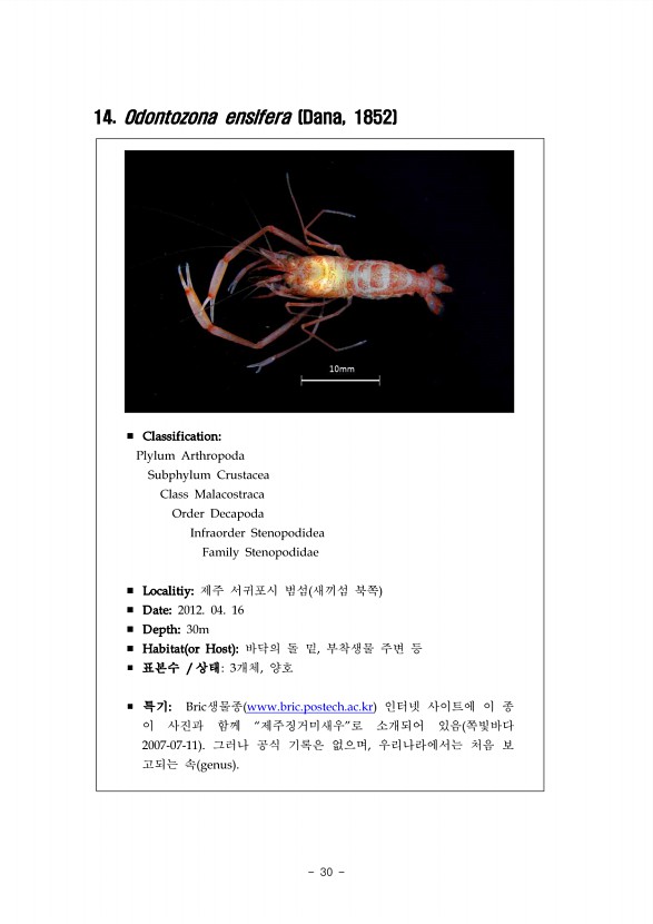 24페이지