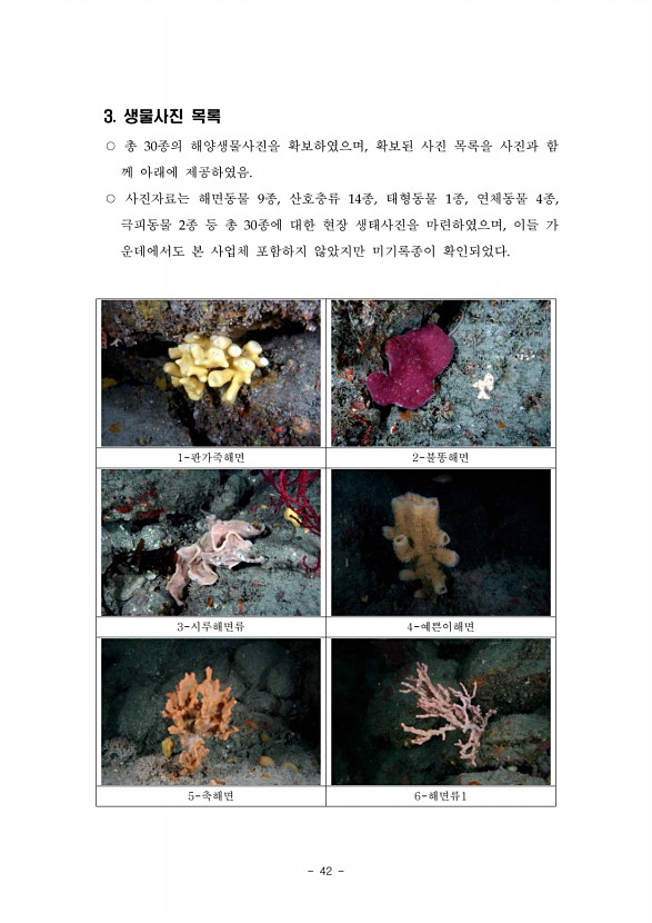 37페이지