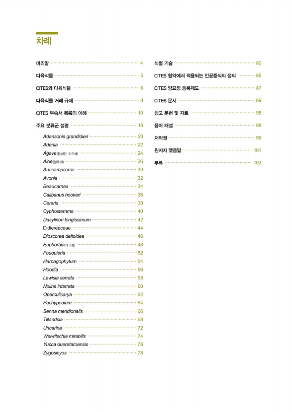 페이지