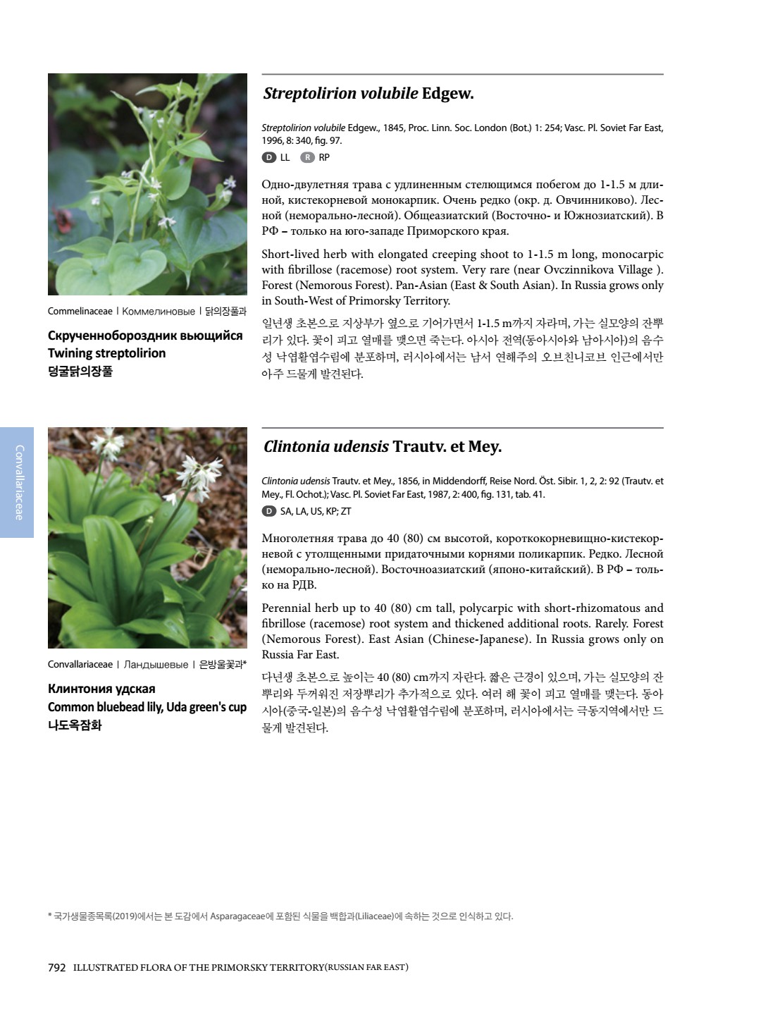 Illustrated Flora of the Primorsky Territory(러시아 연해주 식물도감) Illustrated Flora Of The Primorsky Territory(러시아 연해주 식물도감)