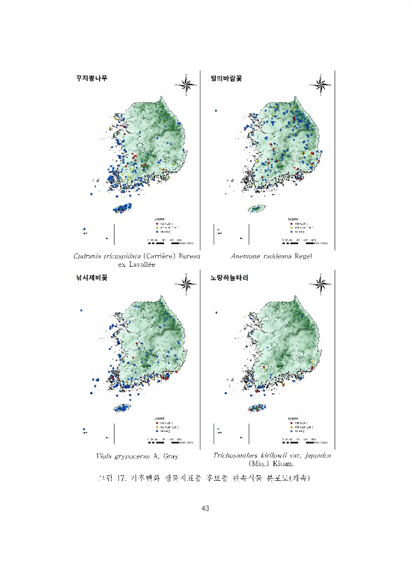 43페이지