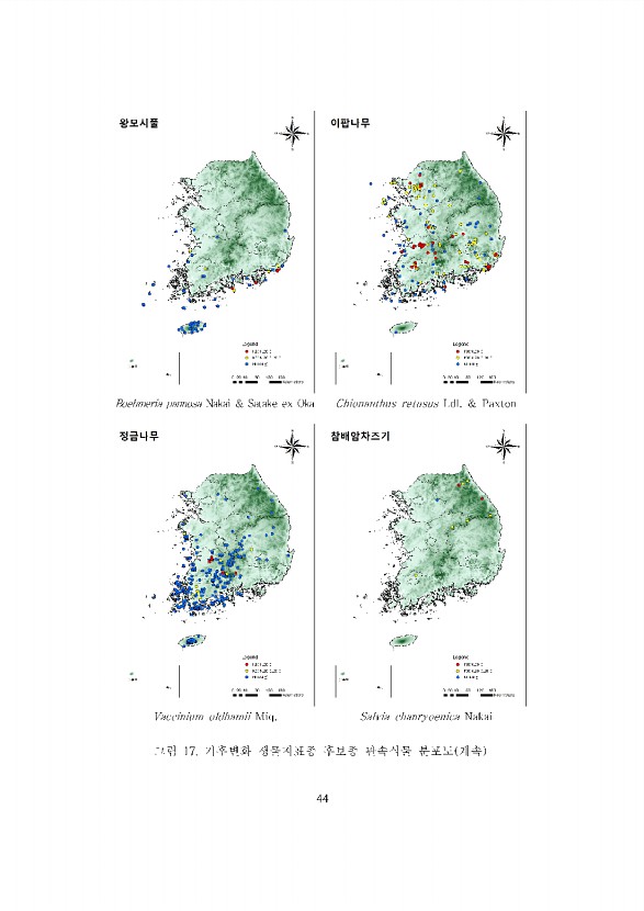 44페이지