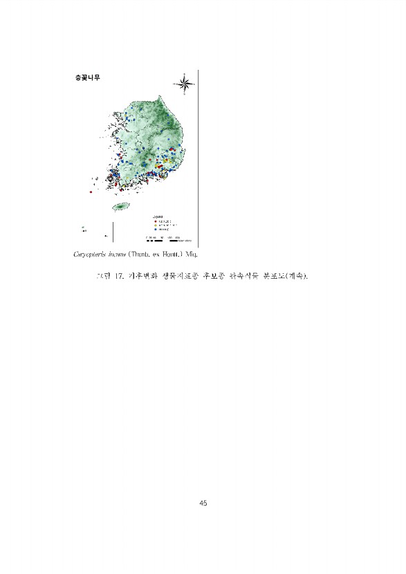 45페이지