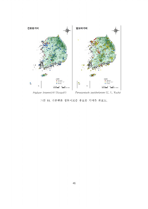 46페이지