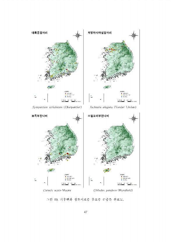47페이지