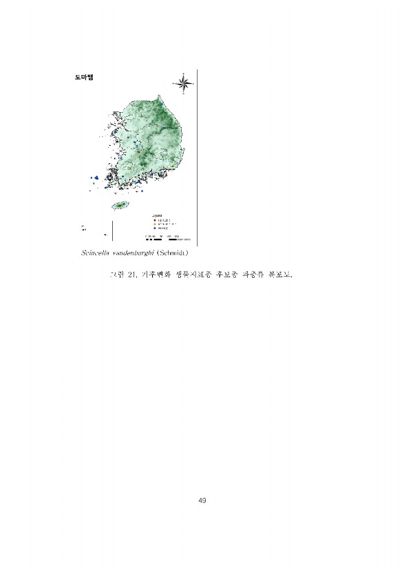 49페이지