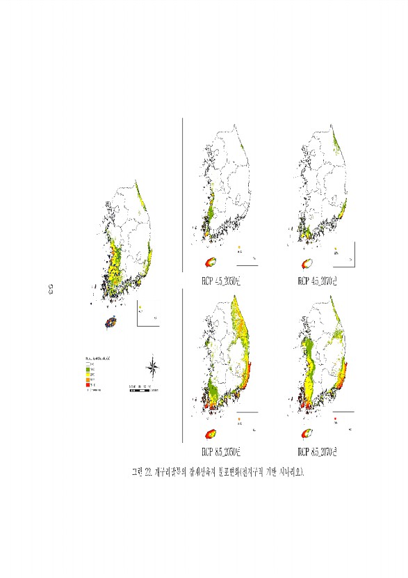 53페이지