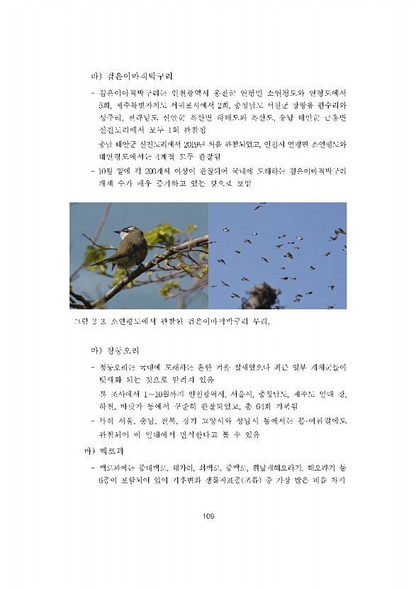 109페이지