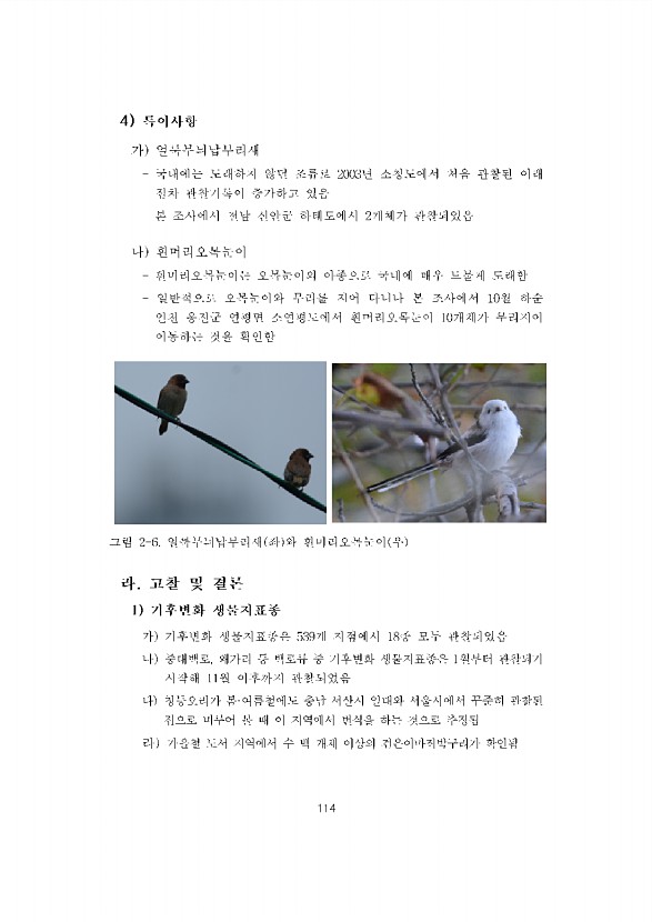 114페이지