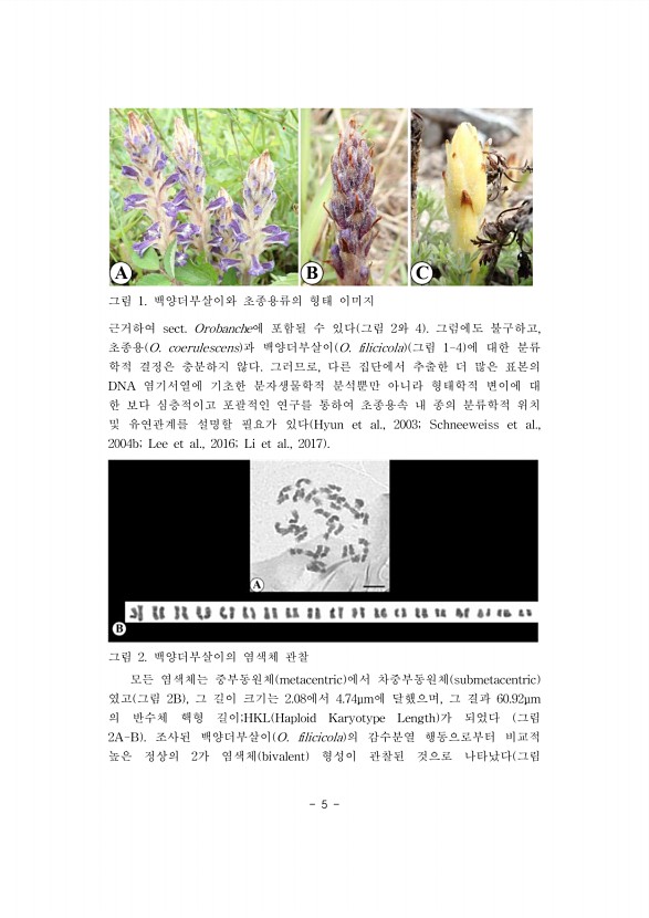 5페이지