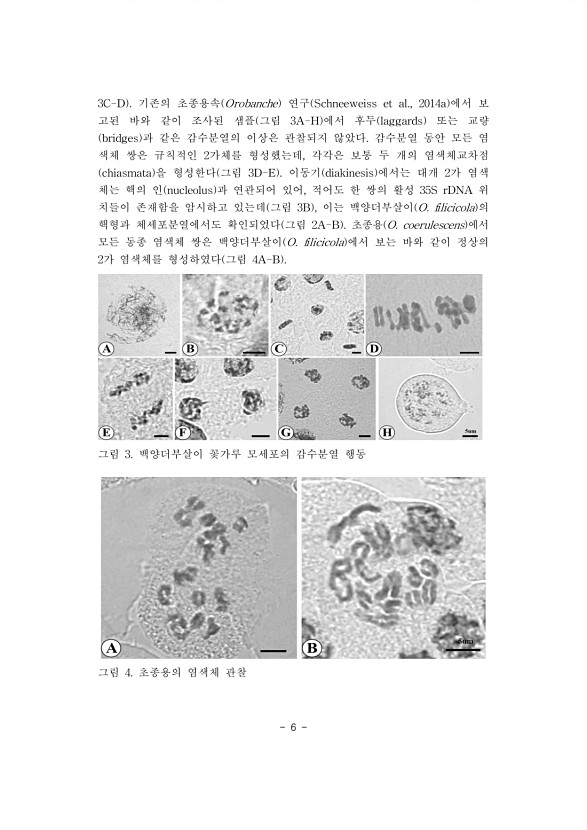 6페이지