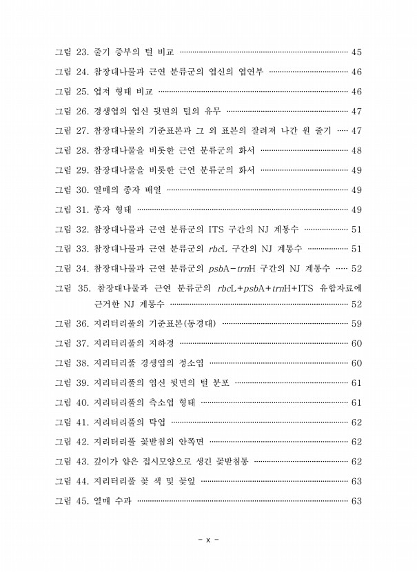 페이지